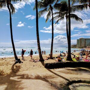 Meet your Posher, hakataloha!